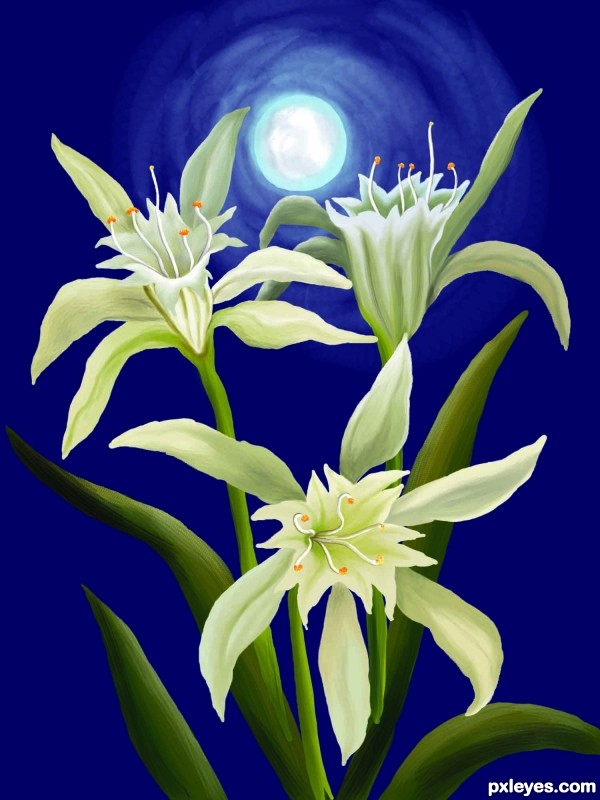 Creation of Lillies in the night: Step 8