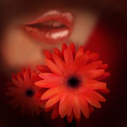 Flower&Lips