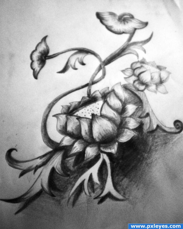 The Divine Lotus drawing picture i have used Hb pencil for drawingand 6b