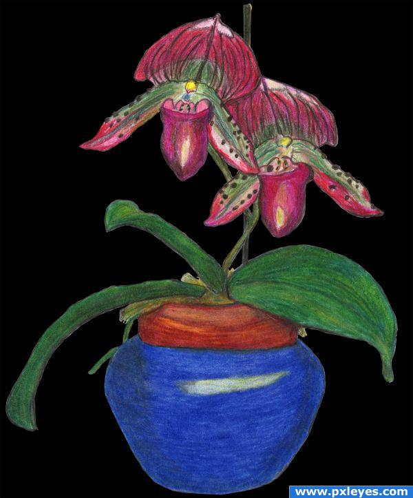 Creation of Purple Orchid In Blue Vase: Final Result