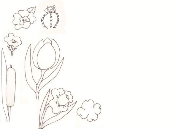 Creation of Flower Drawing Lessons: Step 19