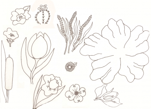 Creation of Flower Drawing Lessons: Step 30