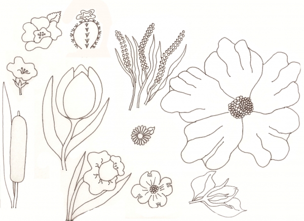 Creation of Flower Drawing Lessons: Step 31