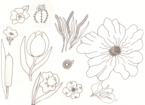 Creation of Flower Drawing Lessons: Step 32