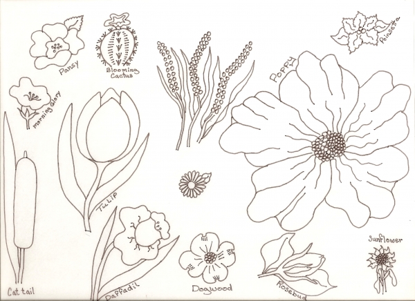 Creation of Flower Drawing Lessons: Step 33