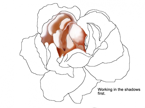 Creation of A Garden's Beauty: Step 4