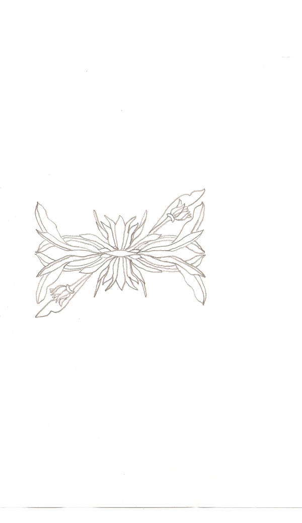 Creation of Weird Foliage: Step 1