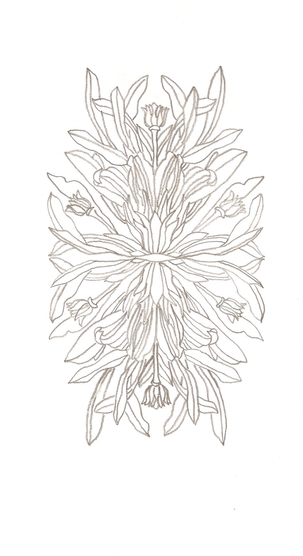 Creation of Weird Foliage: Step 3