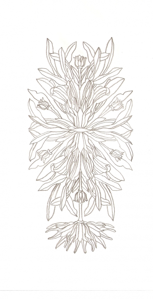 Creation of Weird Foliage: Step 4