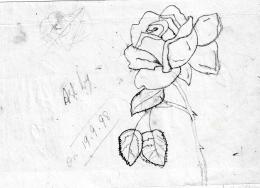 Rose
