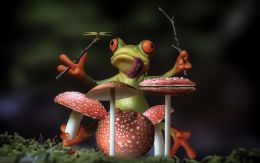 Froggy Rich - Shroom Drummer