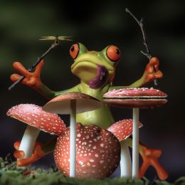 FroggyRichShroomDrummer