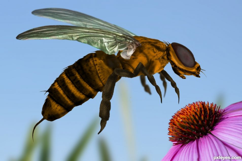 Beefly