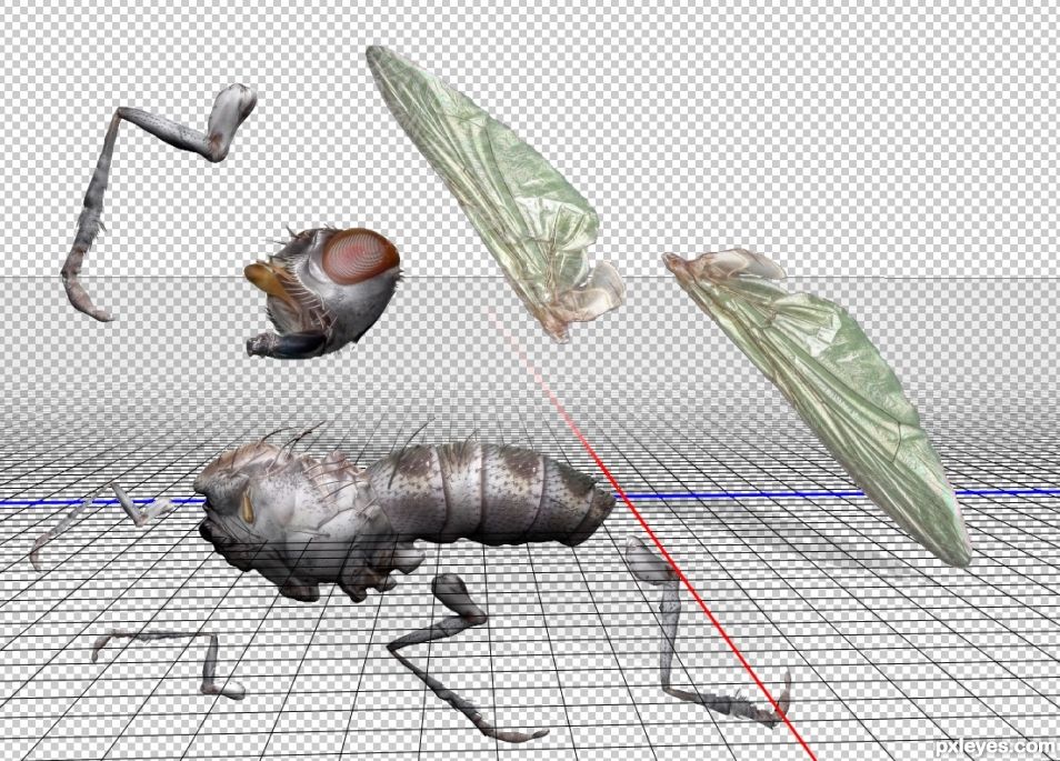 Creation of Revenge of the Flies: Step 1