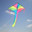 flying a kite photography contest