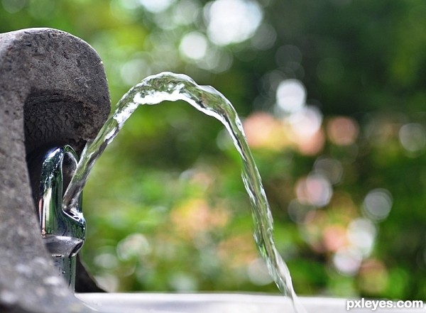 Drinking Fountain