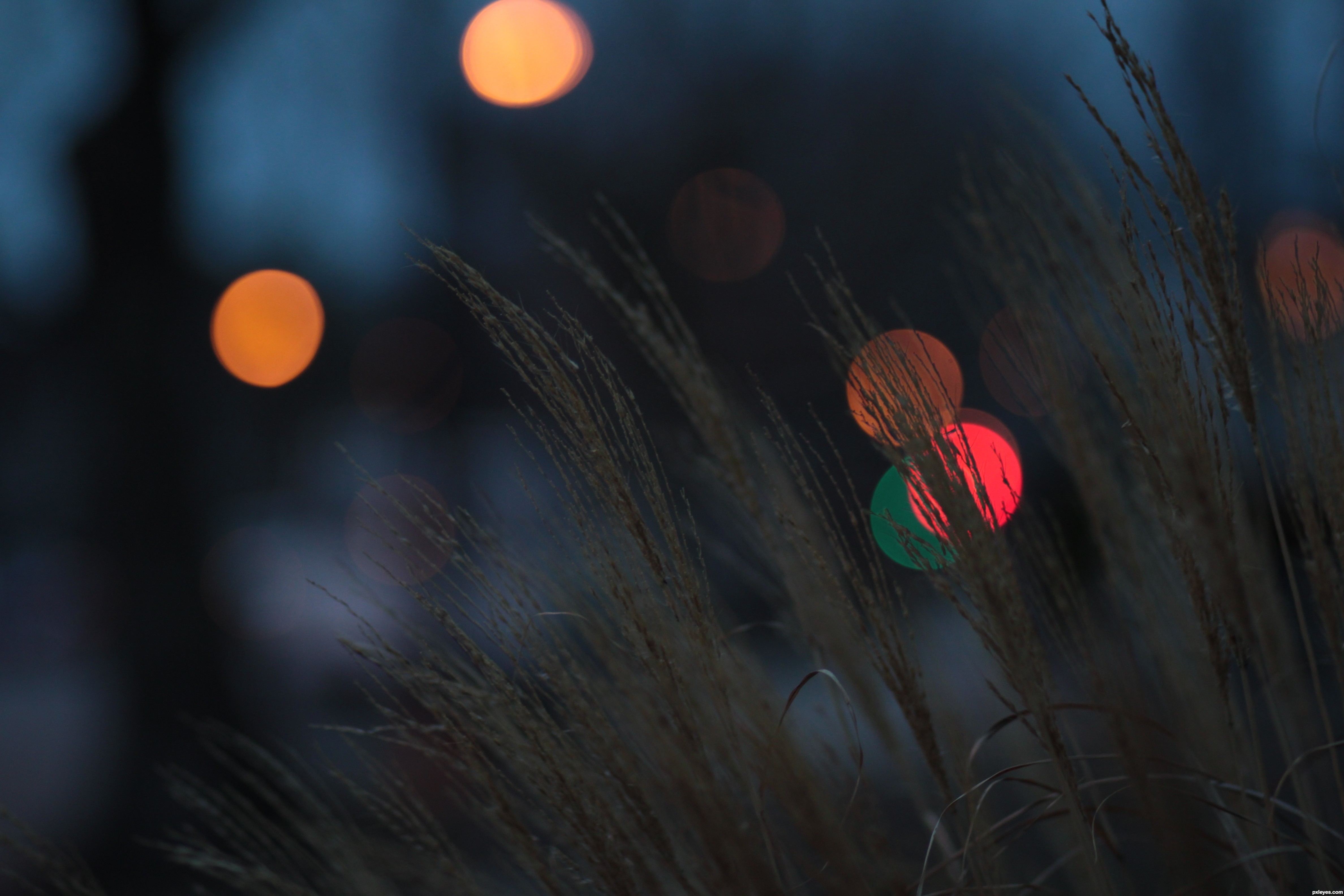 lyrical photography