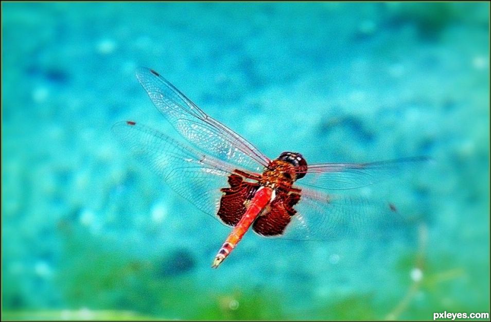 In Flight