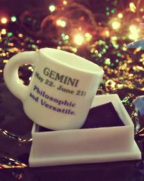 gemini Picture