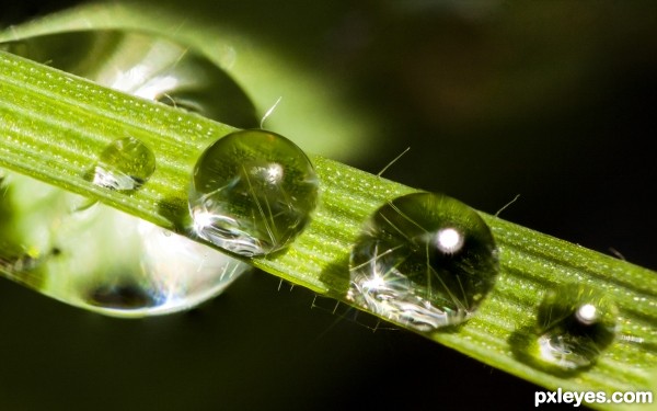 Creation of Water on grass: Final Result