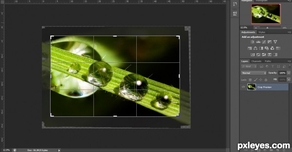 Creation of Water on grass: Step 3