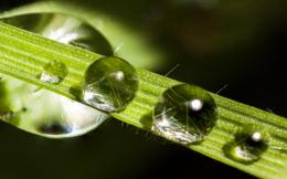 Water on grass