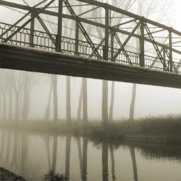 Fog behind the bridge