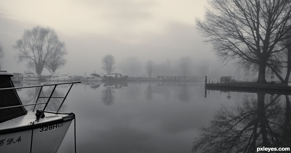 Foggy Morning