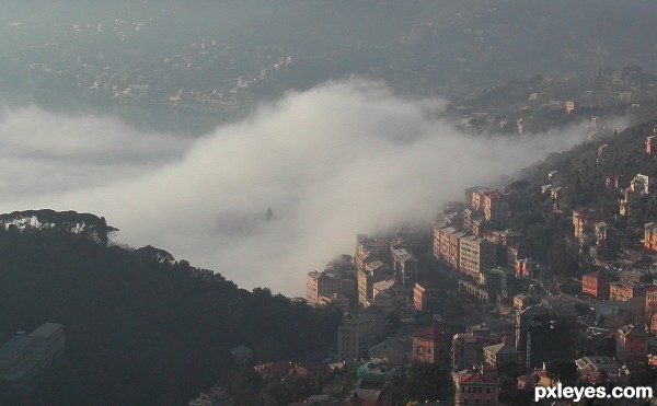 Fog from the sea