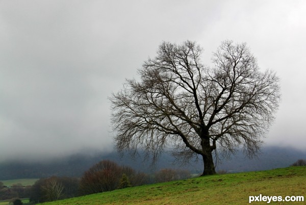 Foggy day