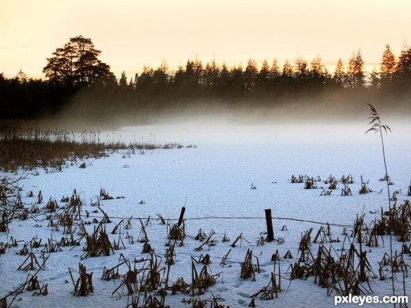 Misted Lake