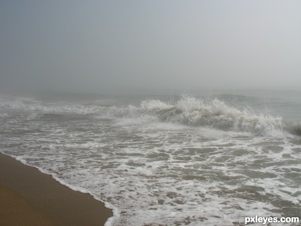 One morning at the Black Sea