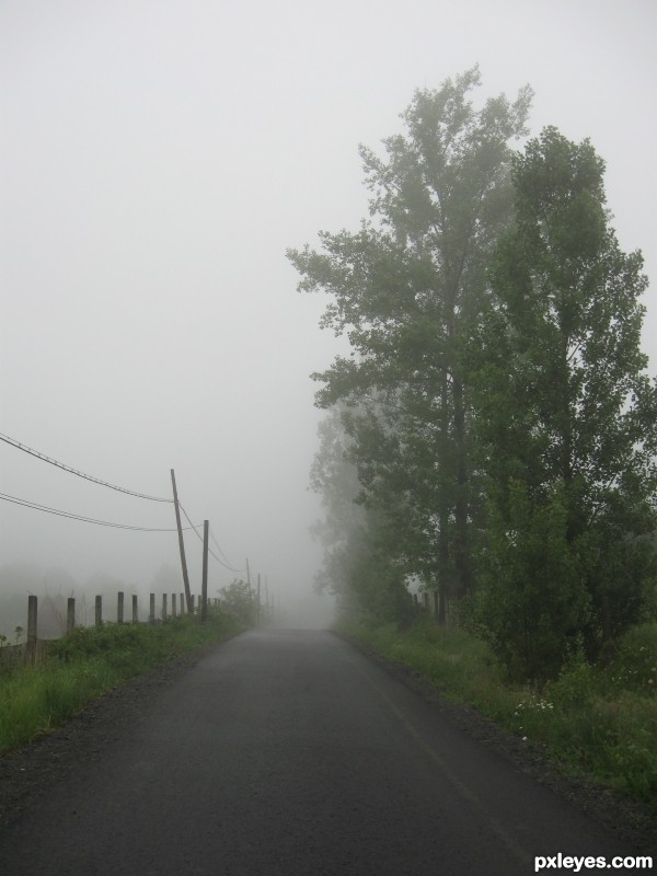 fog. . . 