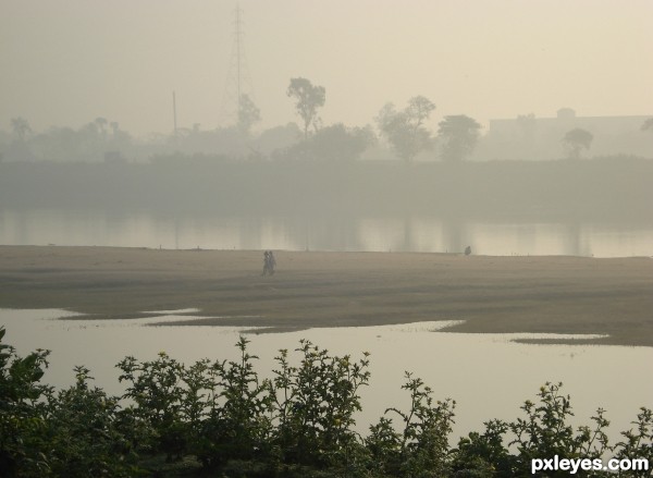 fog on river 