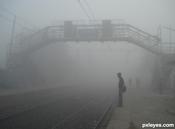 no train for fog