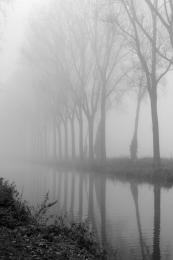 Foggy channel