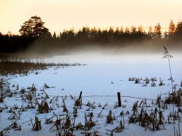 MistedLake