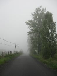 fog. . . 