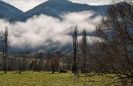 fog in the valley