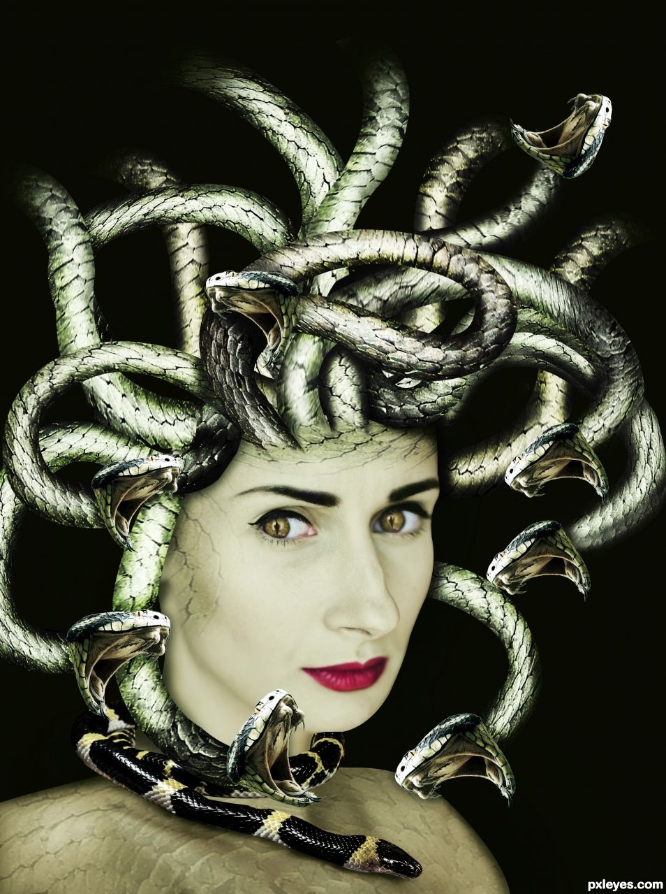 Medusa