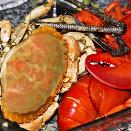 CrustaceanCrunch