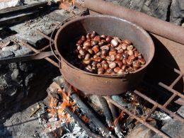 Roasted chestnuts