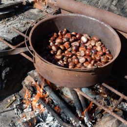 Roastedchestnuts