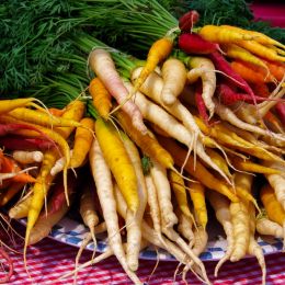 RainbowCarrots