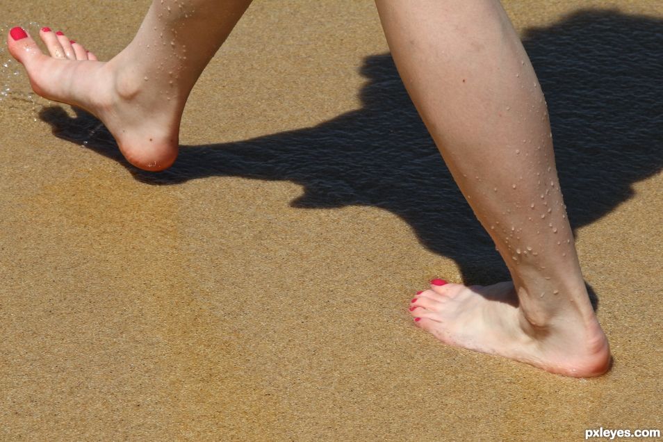 A Walk on the Beach