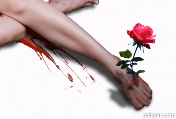 The body and the rose