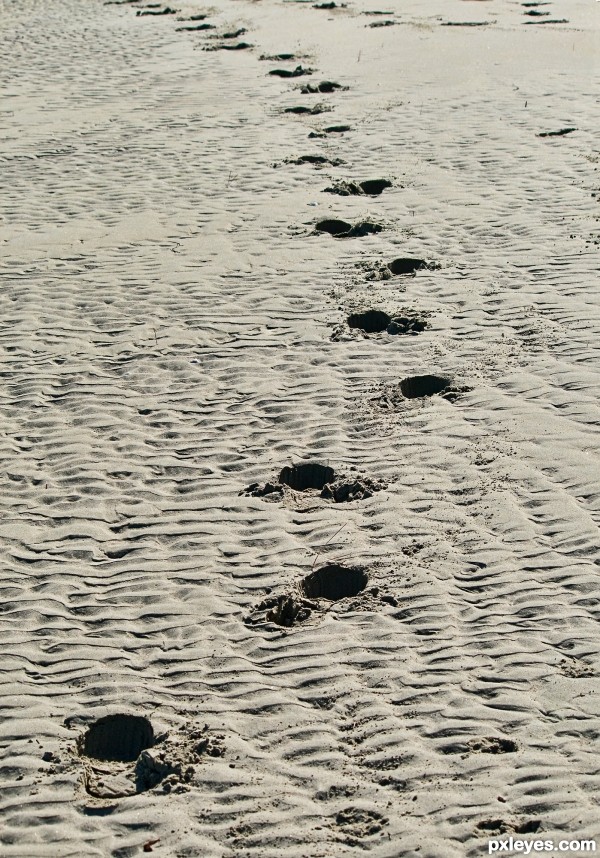 strolling on the beach