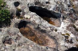 FossilizedFootprints