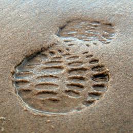 On the Beach Picture