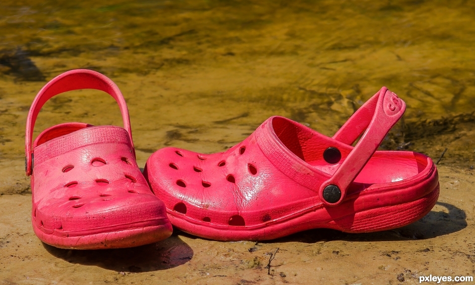 crocs on the river bank